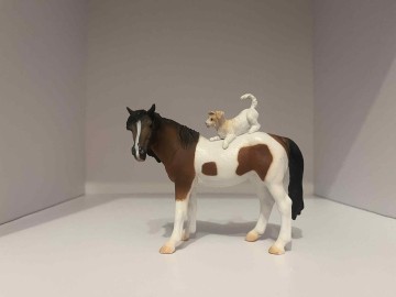 Sprzedam figurki koni