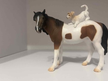 Sprzedam figurki koni