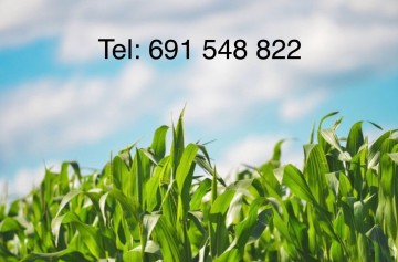 Przyjmę ziemię rolną w dzierżawę