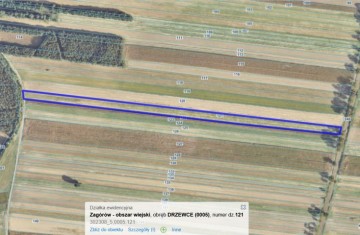 Na sprzedaż grunt rolny - Drzewce, gm. Zagórów