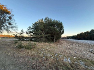 Na sprzedaż działki J&Oacute;ZEFOWO k Słupcy