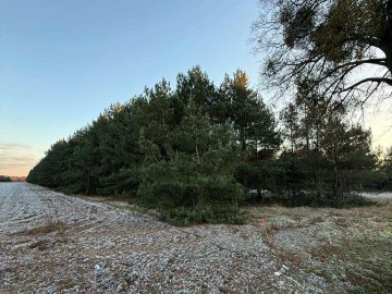 Na sprzedaż działki J&Oacute;ZEFOWO k Słupcy