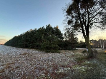 Na sprzedaż działki J&Oacute;ZEFOWO k Słupcy