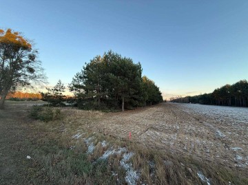 Na sprzedaż działki J&Oacute;ZEFOWO k Słupcy