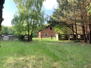 Dom w środku lasu gm Izbica Kujawska