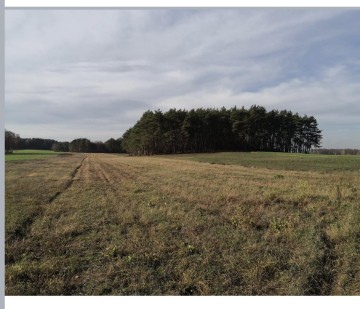 Kępina, gmina Tuliszk&oacute;w, powiat turecki, działki 30ar