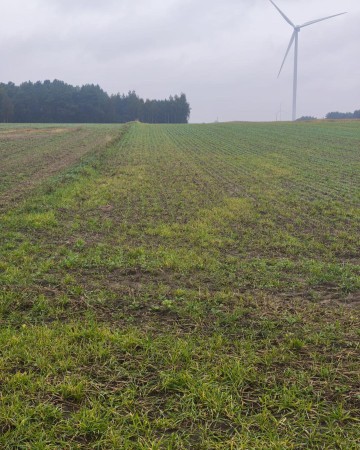 Działka rolna z lasem i przeznaczeniem inwestycyjnym (PU)