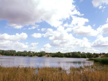 Działka z linią brzegową - Jezioro Ślesińskie