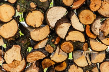 Sprzedam drzewo sezonowane