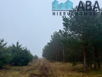 Działka na sprzedaż w Skulsku