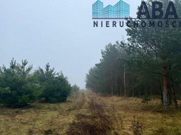 Działka na sprzedaż w Skulsku