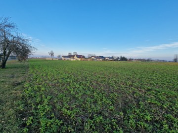 Działka budowlana 1129 m&sup2; &ndash; ul. Dojazdowa, Sławoszewek |MN/U