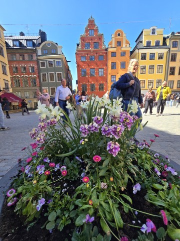 Cztery stolice w 5 dni - 2026