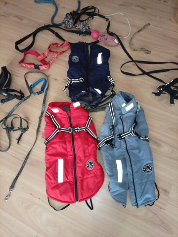 Sprzedam ubranka dla ps&oacute;w smycze