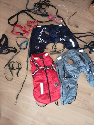 Sprzedam ubranka dla ps&oacute;w smycze