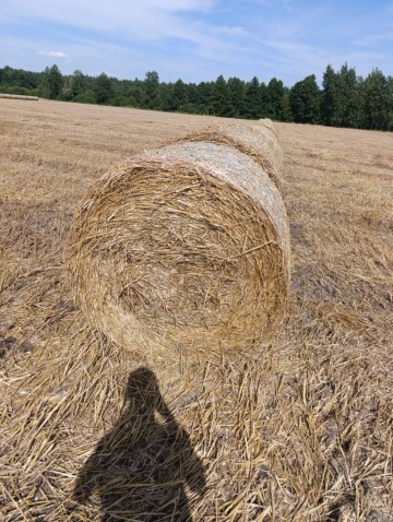 Sprzedam słomę
