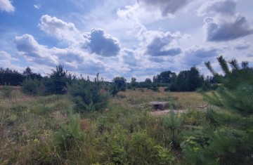 Na sprzedaż działka bezpośrednio nad Jeziorem Suszewskim