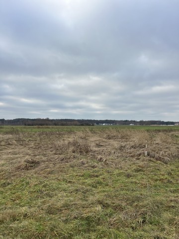 Sprzedam działkę budowlaną 1010m2 z warunkami zabudowy