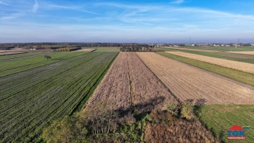 Na sprzedaż gospodarstwo o pow. 7ha – Kobylanki, gm. Skulsk