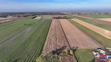 Na sprzedaż gospodarstwo o pow. 7ha – Kobylanki, gm. Skulsk