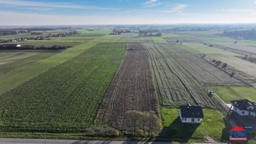 Na sprzedaż gospodarstwo o pow. 7ha – Kobylanki, gm. Skulsk