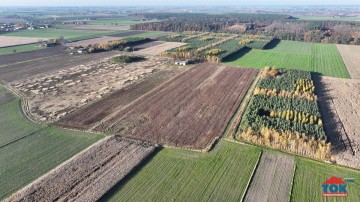 Na sprzedaż gospodarstwo o pow. 7ha – Kobylanki, gm. Skulsk