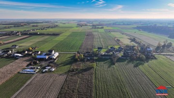 Na sprzedaż gospodarstwo o pow. 7ha – Kobylanki, gm. Skulsk