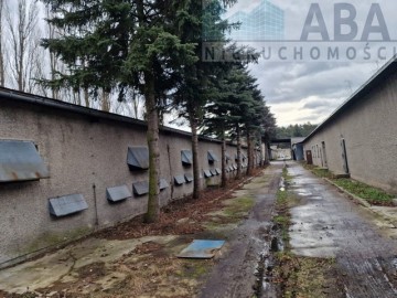 Budynek magazynowo produkcyjny na wynajem - Brzeźno, Sienna