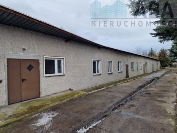 Budynek magazynowo produkcyjny na wynajem - Brzeźno, Sienna