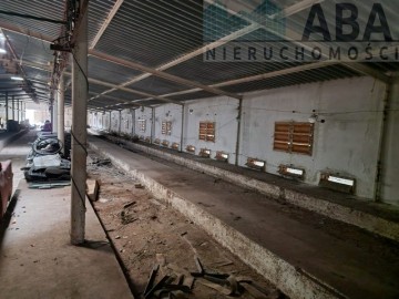 Budynek magazynowo produkcyjny na wynajem - Brzeźno, Sienna