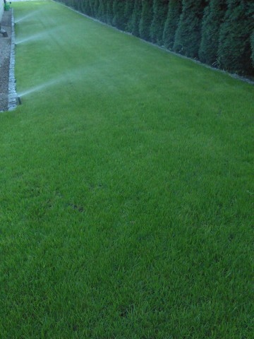 CIECIE , PRZESWIETLANIE DRZEW , KRZEW&Oacute;W 602 635 026