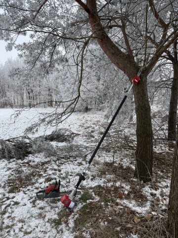 Prace porządkowe w ogrodzie wycinki drzew przycinanie gałęzi