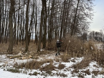 Prace porządkowe w ogrodzie wycinki drzew przycinanie gałęzi