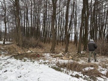 Prace porządkowe w ogrodzie wycinki drzew przycinanie gałęzi