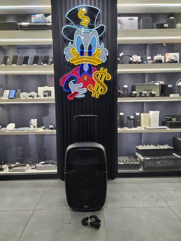 Kolumna aktywna Bluetooth RH Sound PP-2112 Aus cb  Stan: spr