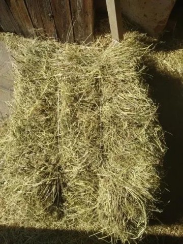 Sprzedam siano w kostce