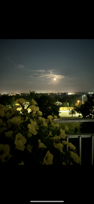 Sprzedam mieszkanie 2 pokoje centrum