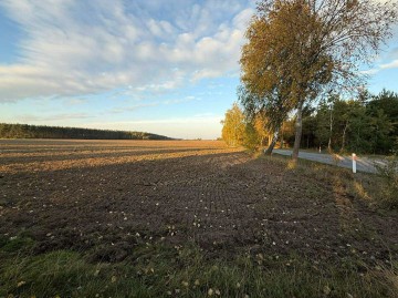 SPRZEDAŻ LUB DŁUGOTERMINOWA DZIERŻAWA ŻWIROWNI &ndash; KOCHOWO