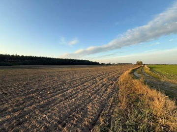 SPRZEDAŻ LUB DŁUGOTERMINOWA DZIERŻAWA ŻWIROWNI &ndash; KOCHOWO