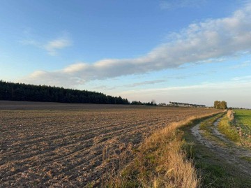 SPRZEDAŻ LUB DŁUGOTERMINOWA DZIERŻAWA ŻWIROWNI &ndash; KOCHOWO