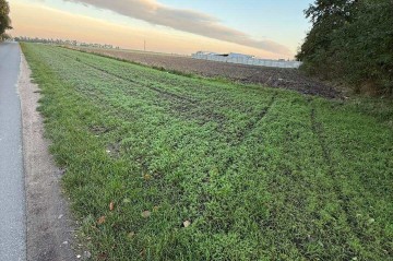 DZIAŁKA REKREACYJNA KOSEWO 23 ARY GM. OSTROWITE