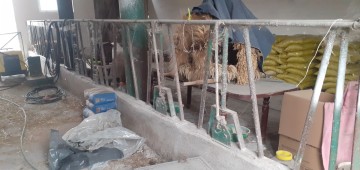 Przegrody Stanowiska Wygrodzenia Dla Bydła