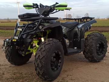 Quad 250CC BARACUDA automat 1+1R,koła 10 cali,