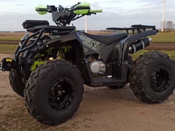 Quad 250CC BARACUDA automat 1+1R,koła 10 cali,