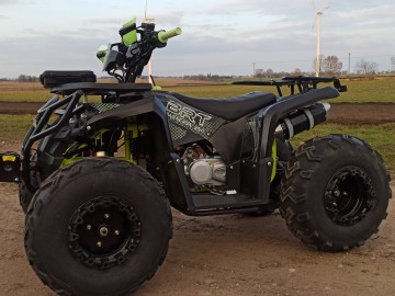 Quad 250CC BARACUDA automat 1+1R,koła 10 cali,