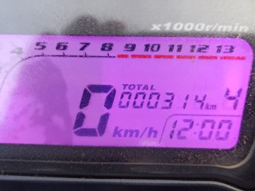 Quad 250CC BARACUDA automat 1+1R,koła 10 cali,