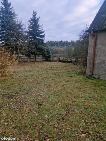 Sprzedam dom 180m działka 63ar