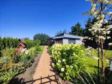 Sprzedam działkę ROD z pięknym ogrodem i domkiem po remoncie