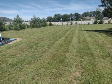 Pielęgnacja Ogrodu,Mycie kostki brukowej