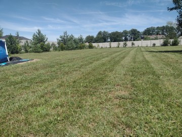 Pielęgnacja Ogrodu,Mycie kostki brukowej